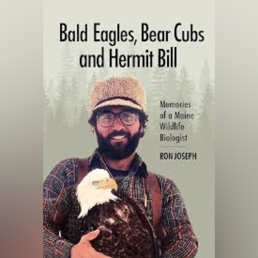 Bald Eagles Bear Cubs and Hermit Bill Memories of a Wildlife Biologist in Maine